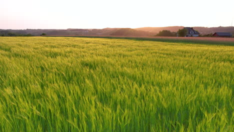 Increíble-Luz-Del-Atardecer-Repartida-Por-El-Campo-De-Cultivo-De-Trigo-Rodeado-De-Montañas