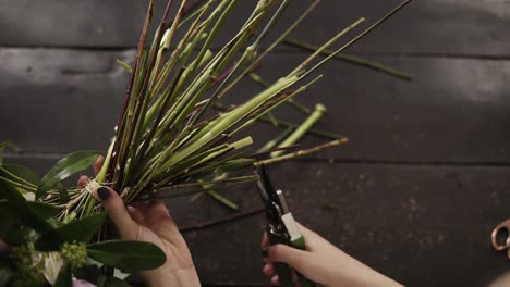 hermosas manos femeninas cortan los tallos de las flores con un podador en una superficie oscura. estudio floral. toma superior