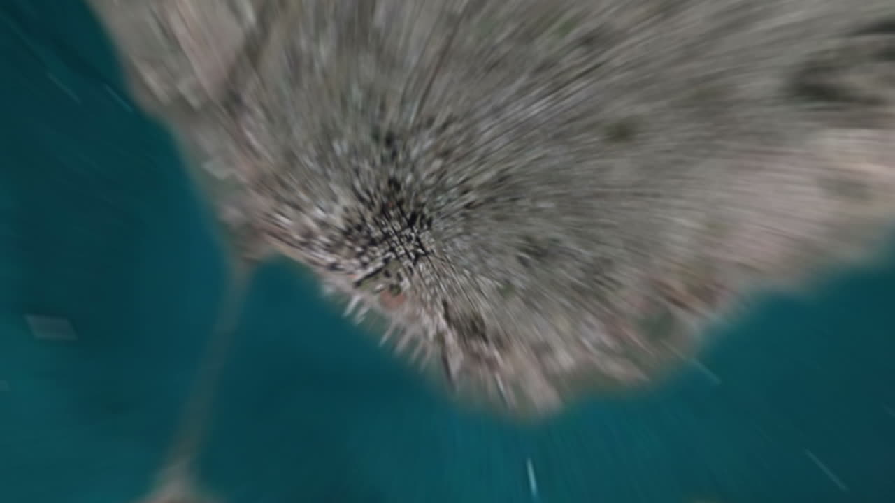 가족들의 비디오와 함께 샌프란시스코를 확대합니다.