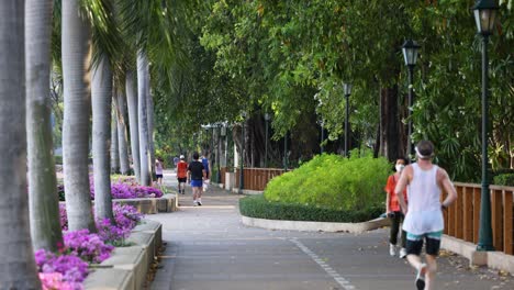 people exercising and enjoying a park pathway