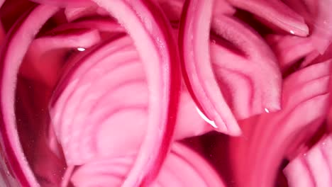 imágenes macro en cámara lenta de cebollas rojas
