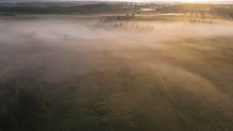 aerial tracking shot over sunlit, misty fields, autumn evening in the nordics
