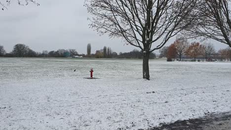 Schwenk-Nach-Rechts-Berlin-Im-Winter-Im-Park-Tempelhöferfeld-Mit-Schnee-Bedeckt-HD-30-Fps-7-Sek.-B