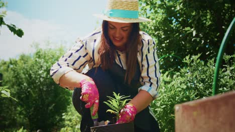 woman planting flowers in a garden