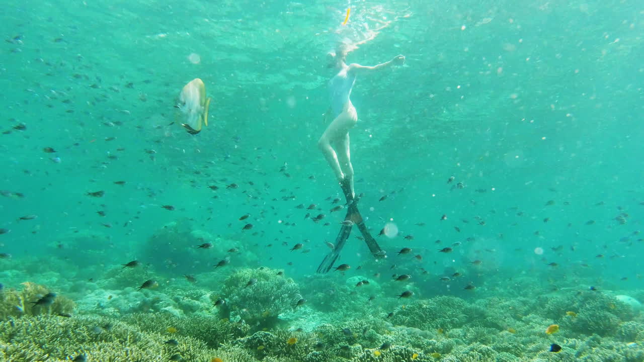 적응하려고 노력하는 것