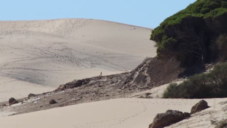 Las-Dunas-De-Arena-En-Andalucía-En-España-En-Resolución-4k