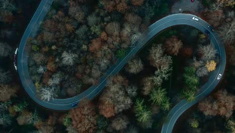 Traffic-at-a-double-bending-road-in-the-autumn-season,-filmed-straight-from-above