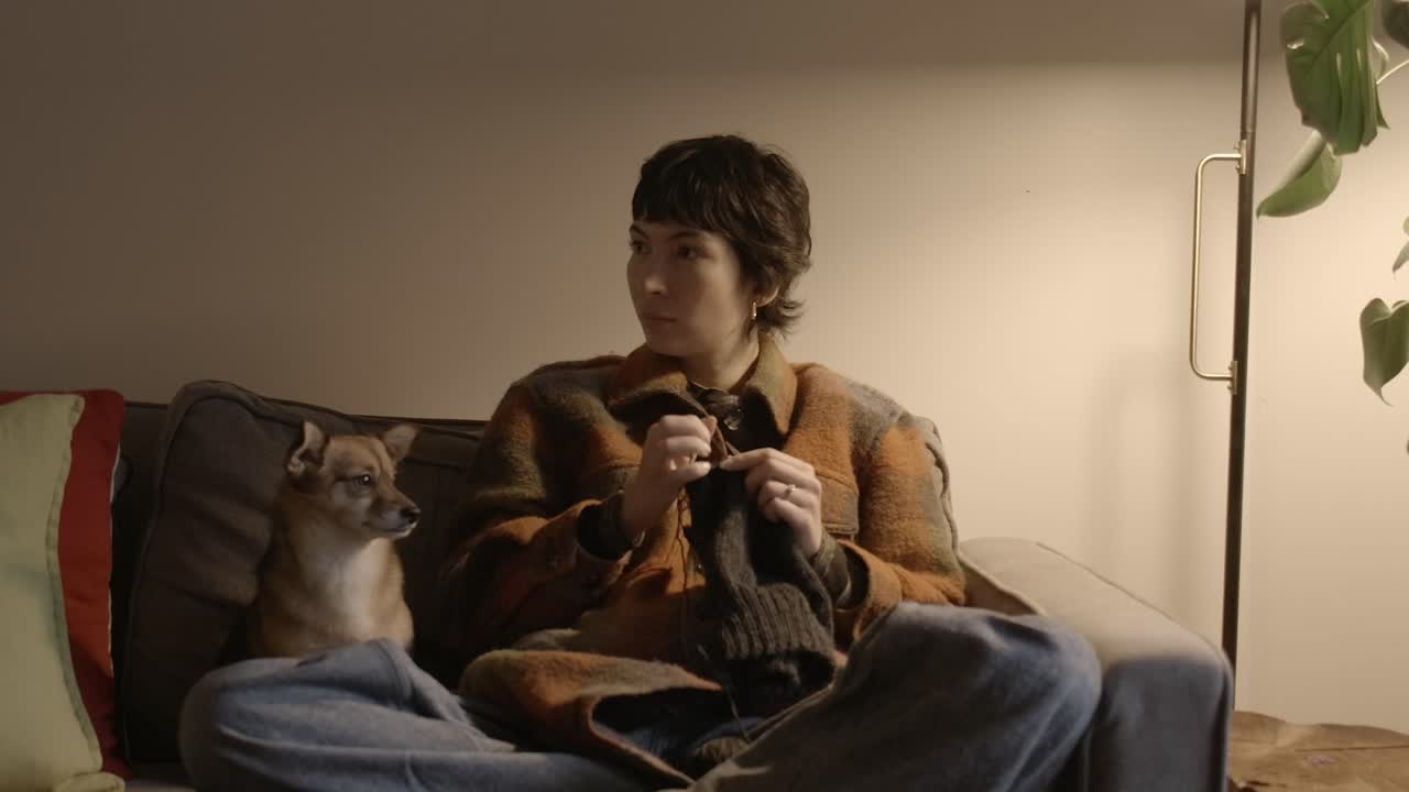 반려견과 함께 소파에 앉아 있는 여성이 베니를 뜨개질 - 내부, 정적