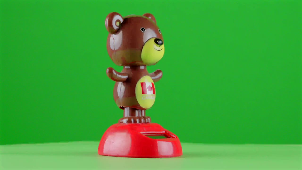 캐나다의 그리즐리 은 배터리 없이 움직이는 태양광 장난감입니다. 배경 제거를 위해 녹색 화면을 가진 턴테이블에서 생태학 보존