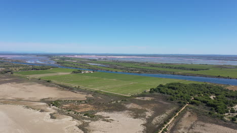 Vineyards-along-the-mediterranean-sea-Espiguette-and-salt-salt-evaporation-pond