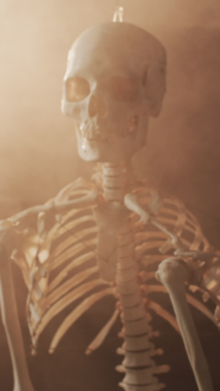 Vertical video of close up of halloween skeleton with copy space on brown background