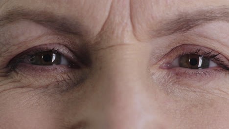 close up mature woman eyes looking at camera happy expression human optical beauty