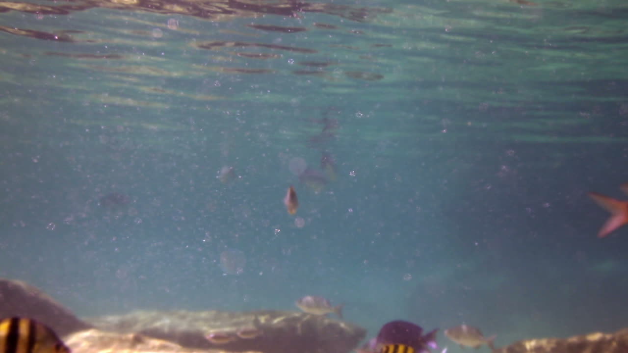 сноркэл парк 01