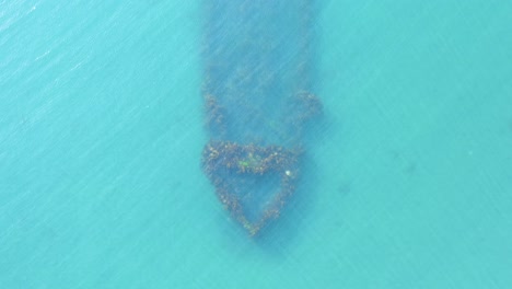 kelp covered sunken trawler boat in calm blue water of iceland, aerial