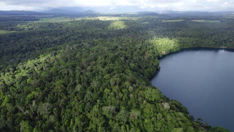 lush tropical vegetation surrounding lake eacham in atherton tablelands, qld, australia - drone shot