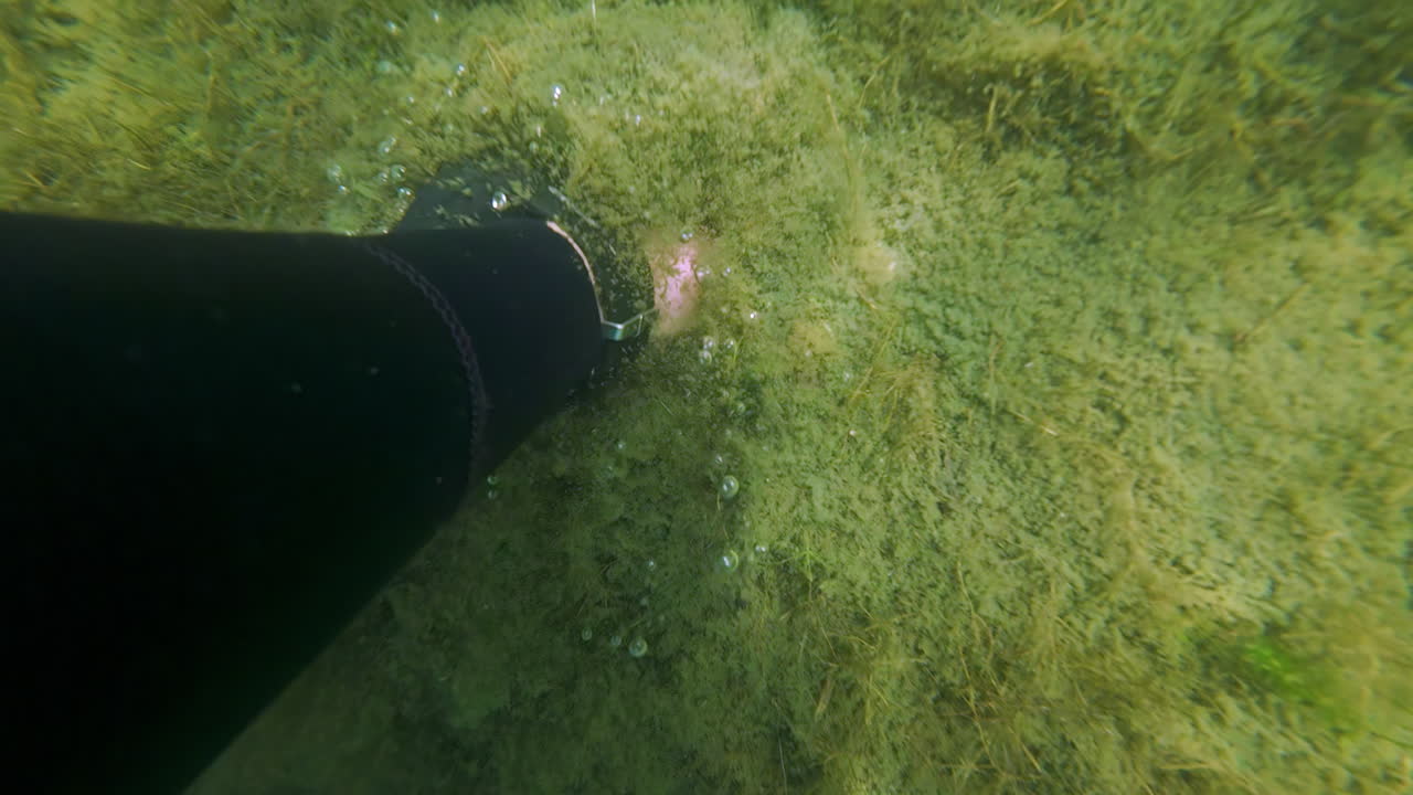 Below the depths, the diver's hand on the seafloor