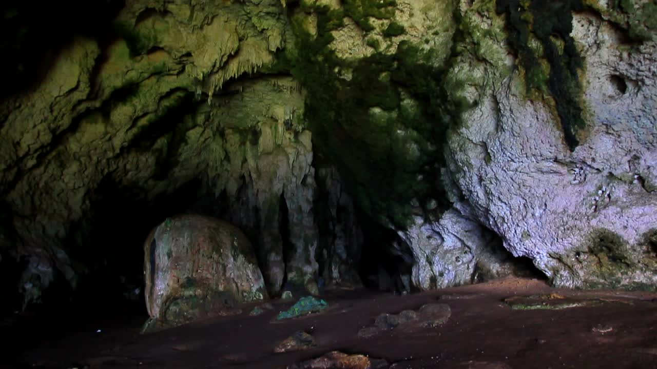 una mirada a una cueva cubierta de musgo con interesantes formaciones de piedra en el techo y las paredes