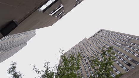new york, manhattan. upscale skyscrapers and corporate buildings, low angle view