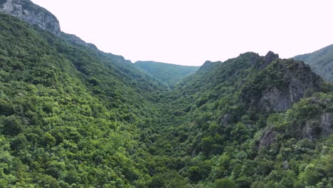 Aerial-shot-of-mountains-filled-with-forests-and-trees-on-a-cloudy-day