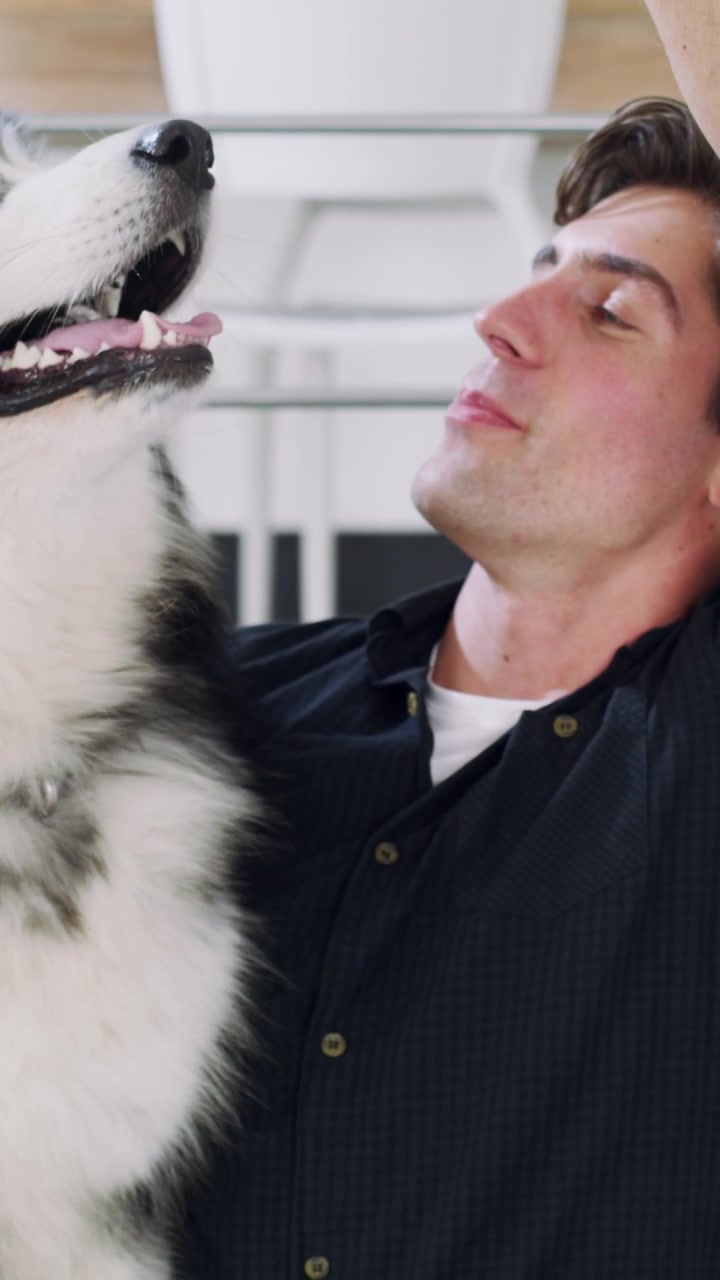 Jovem Homem Brincando e Criando Laço com Seu Cão Malamute do Alasca