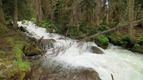 Gebirgsfluss-Im-Wald.-Wunderschöne-Tierlandschaft.