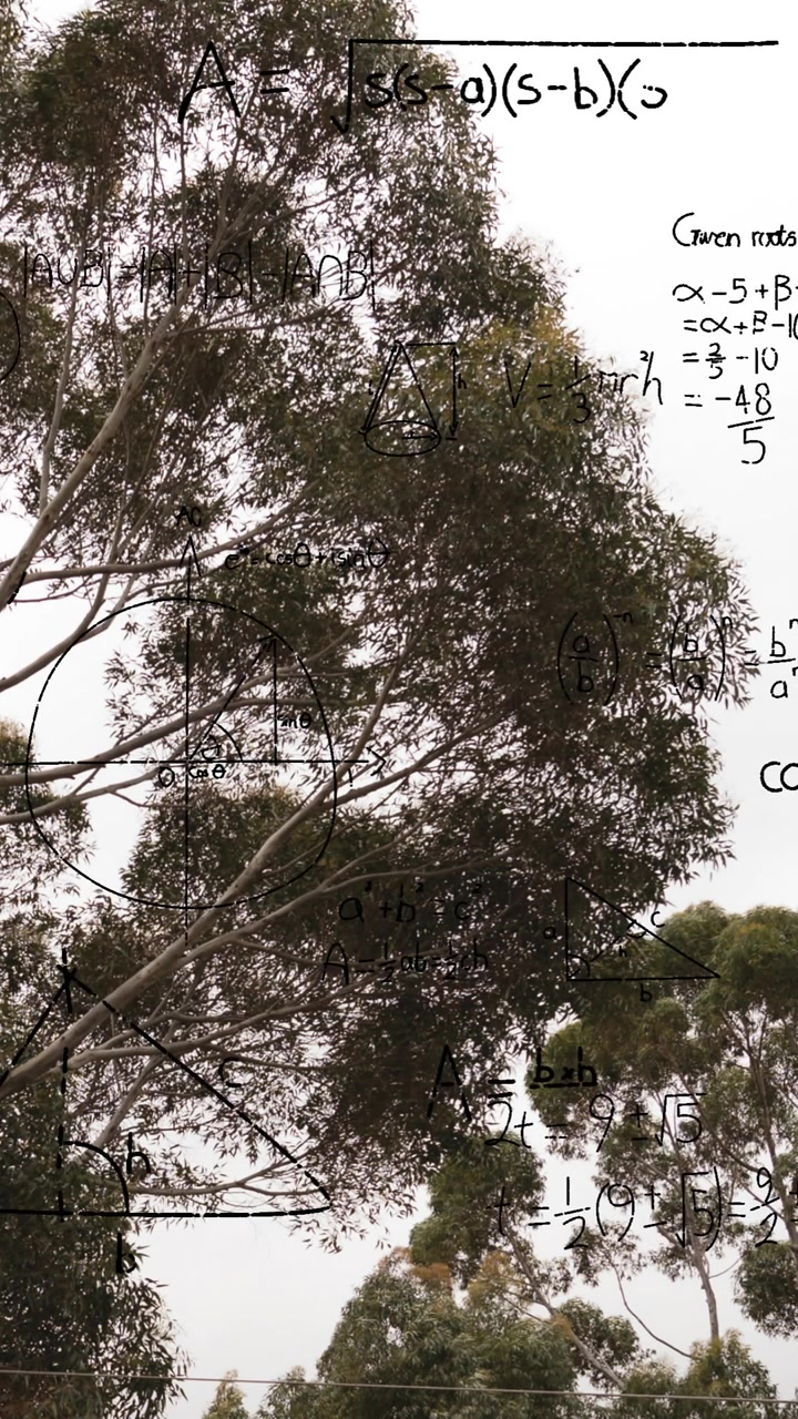 Animation of layers of mathematical formulae and equations over trees and sky