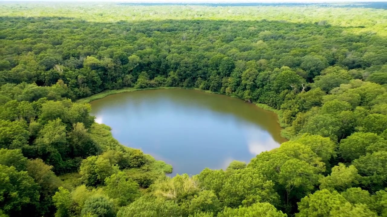 Skośny widok z lotu ptaka ukazuje małe, zaokrąglone jezioro, umieszczone centralnie w dolnej części panoramy, całkowicie otoczone gęstym lasem liściastym, ze spokojną wodą, trzcinowym brzegiem, bujnymi zielonymi koronami drzew i cichą, odległą dziczą.