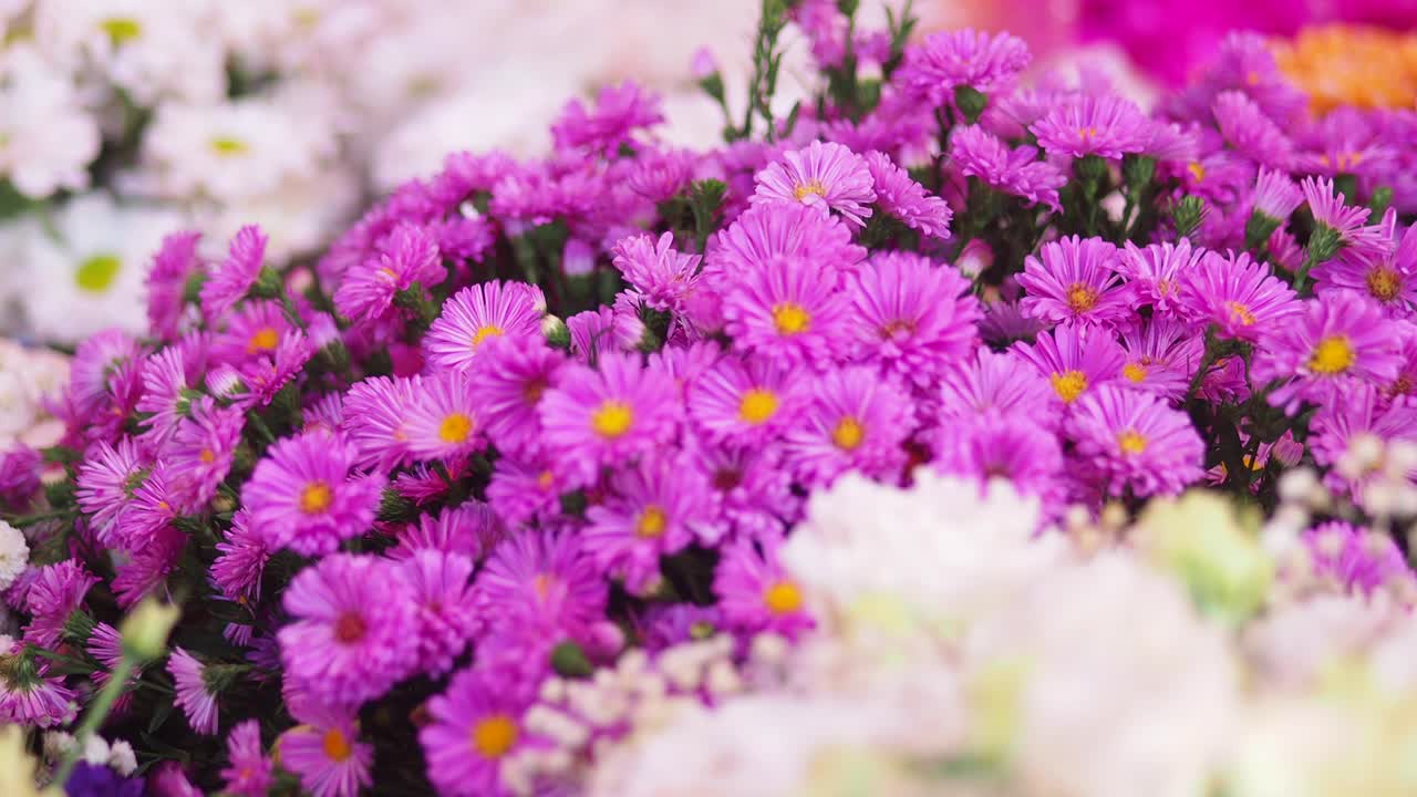Bouquet di fiori viola e bianchi