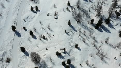 Runter-Nach-Oben-Schwenkschule-Mit-Blick-Auf-Das-Schöne-Winterpanorama-Des-Morteratsch