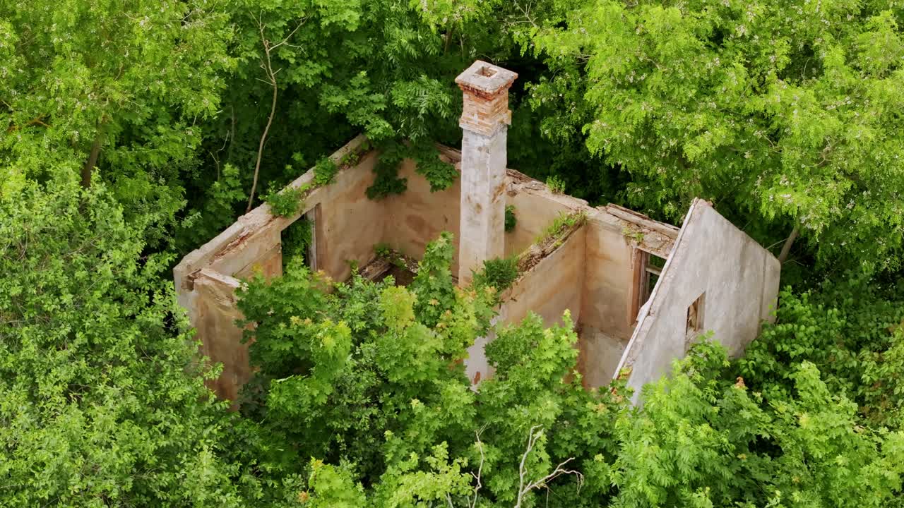 Ruined forest house swallowed by overgrown trees reflecting human fragility