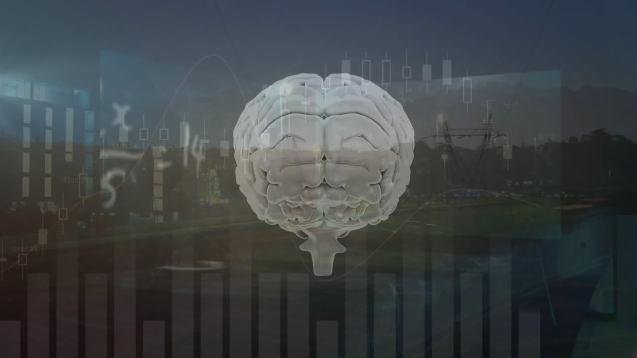 Animation of financial data processing over human brain
