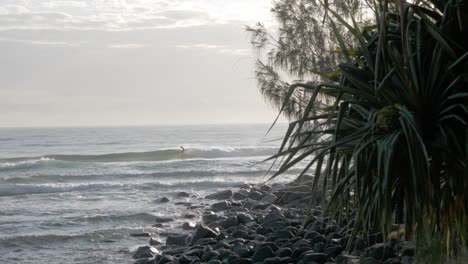 surfista turístico realizando un truco en las grandes olas del océano - playa de burleigh heads durante el verano en gold coast, queensland, australia
