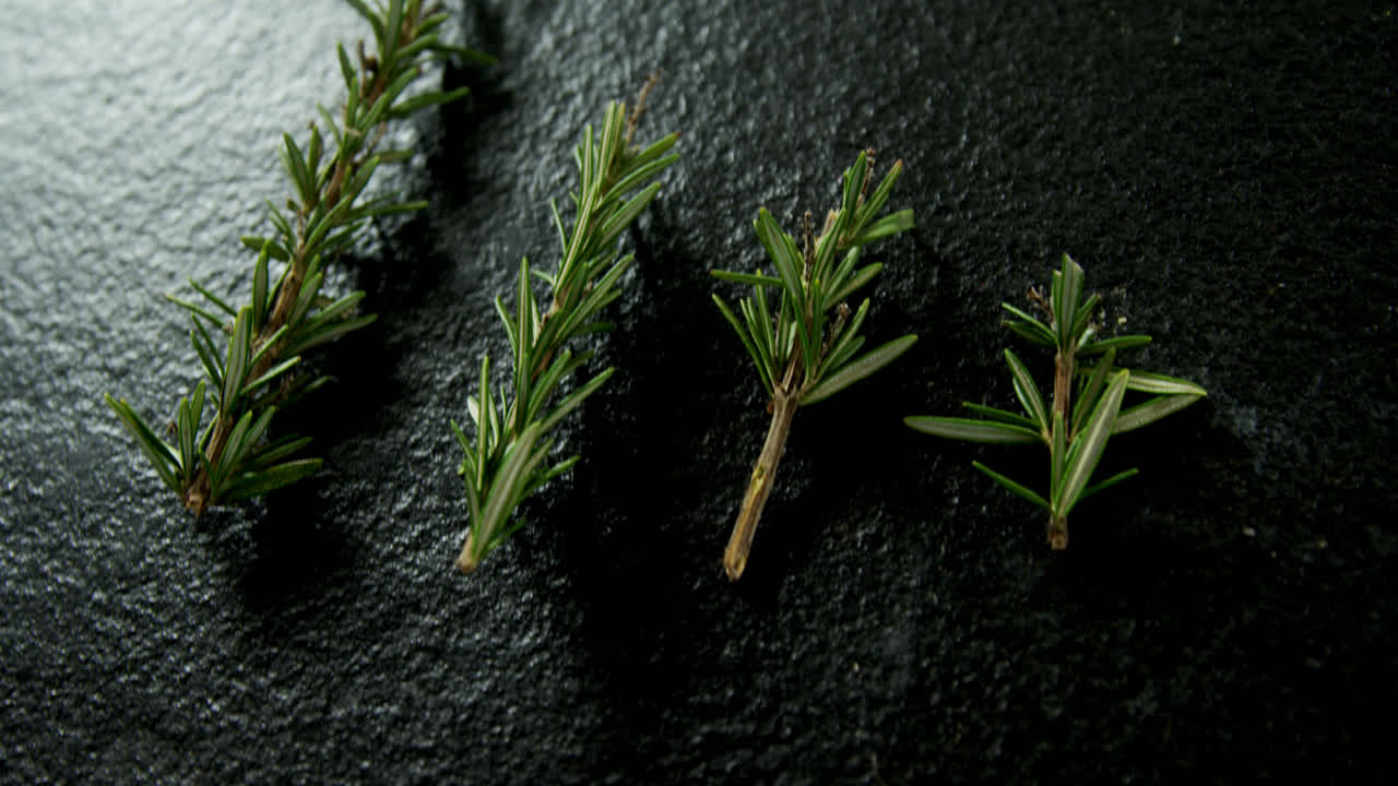 romero sobre un fondo negro en 4k