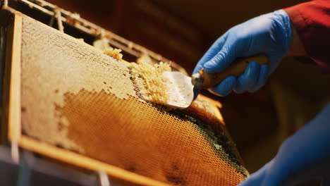 a beekeeper removes wax from honeycomb