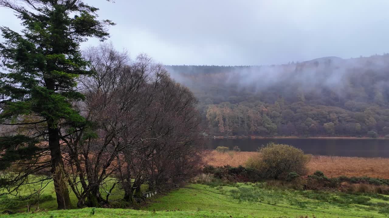 아일랜드의 서사시적인 장소: 아일랜드의 겨울 풍경, 겨울의 숲, 위클로우, 아일랜드의 이른 아침 안개