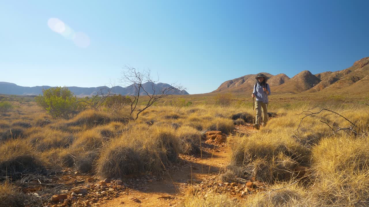 caminante camina por el sendero spinifex frente a las montañas, australia central