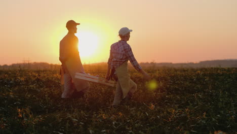 Dos-Granjeros-Llevan-Una-Caja-Pesada-Con-Vegetales-A-Través-Del-Campo-Video-De-Cámara-Lenta-De-Steadicam