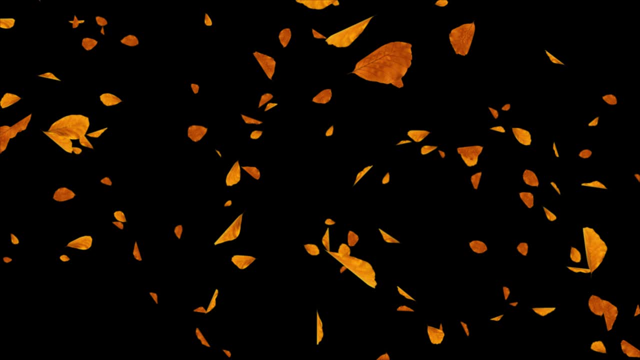 추상적인 4k 잎이 떨어지는 현실적인 3d 알파 채널 루프 애니메이션