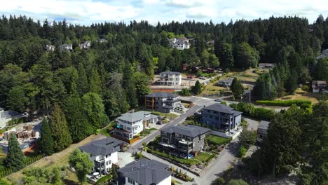 aerial view of upscale bellevue neighborhood in northwest washington