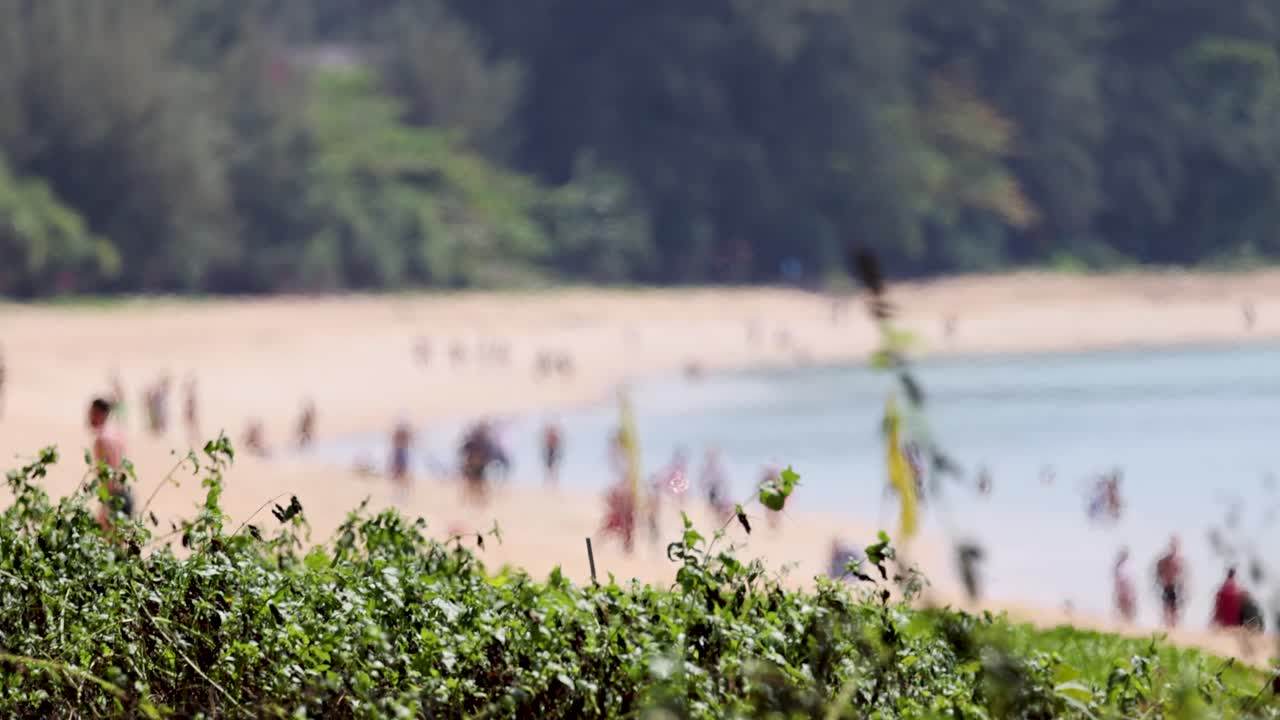 사람 들 과 함께 흐릿 한 해변 장면