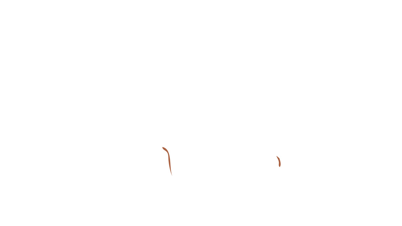 만화 동물 애니메이션 27