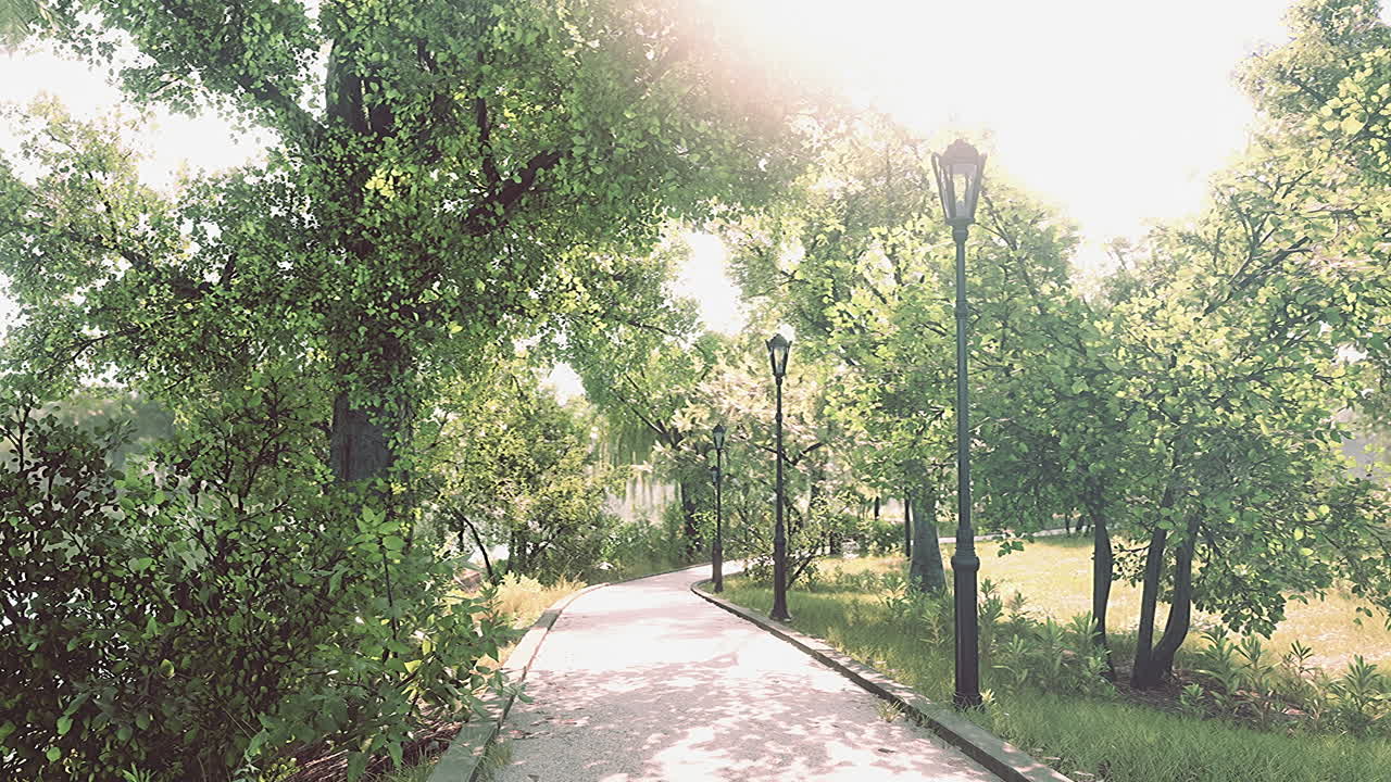 푸른 시골 에 있는 숲 공원 도로 풍경