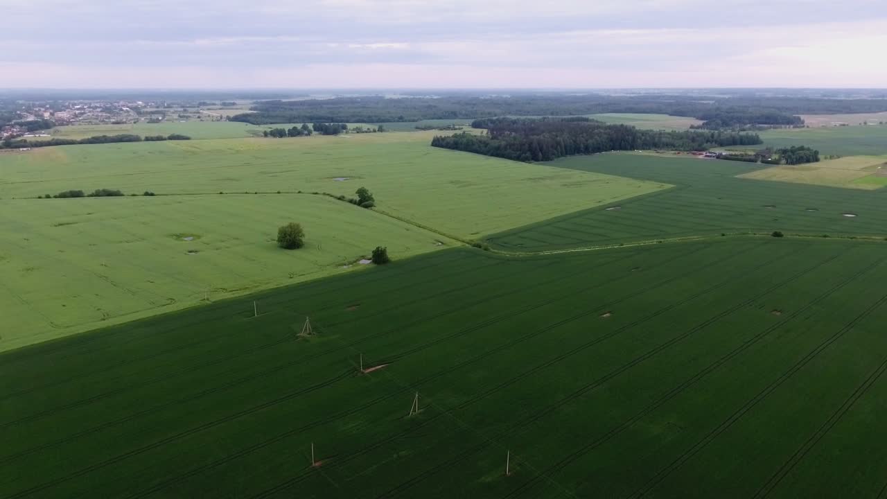 líneas de postes de suministro de energía en campos agrícolas verdes-4