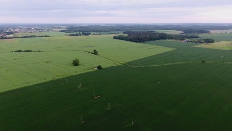 Power-Supply-Pole-Lines-In-Green-Agricultural-Fields-4