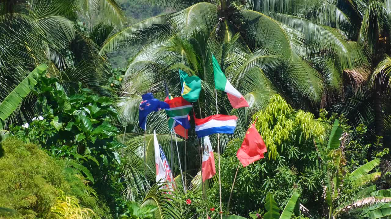 A selection of world country flags flying in wind against green forest trees on Moorea Island in French Polynesia