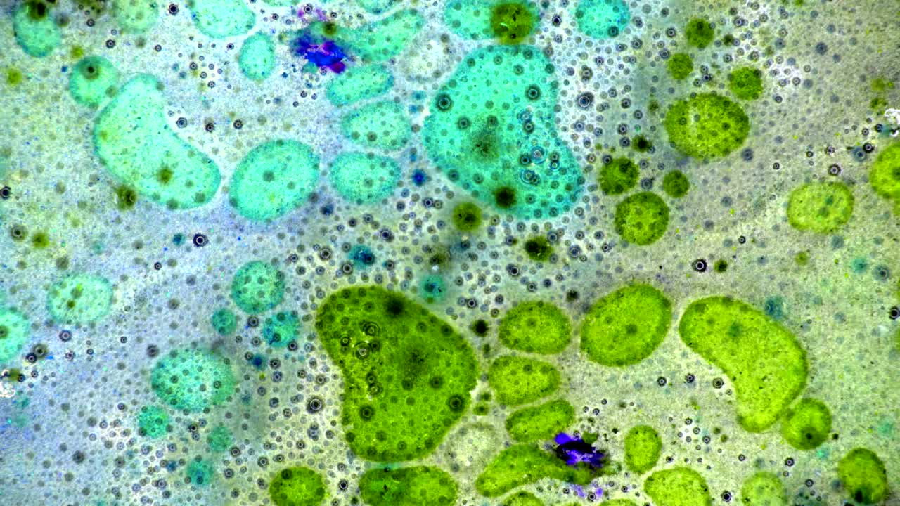 el rizado de las pinturas