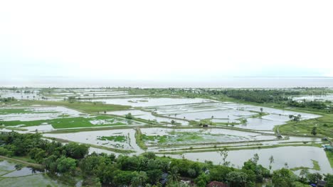 As-a-result-of-heavy-rains,-various-fields-of-West-Bengal-along-the-banks-of-the-Ganges-were-submerged