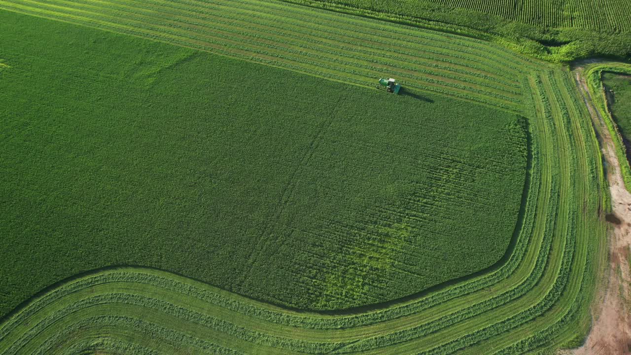 en door county, wisconsin, un agricultor en un tractor john deere, corta su campo de alfalfa a finales de agosto-13