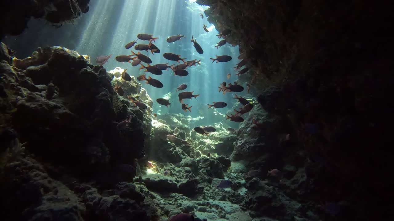 Under water Canyon to a cave between the Coral Reef of The Red Sea Of Egypt , shot in 4K slow motion 100 fps