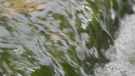 close-up of flowing water over rocks and algae